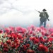 Private Peaceful opens at the Theatre Royal Haymarket this week Private Peaceful opens at the Theatre Royal Haymarket this week