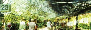 0110_waterloo