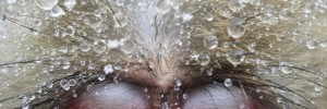 Jasper Doest, Relaxation. Commended. Veolia Environnement Wildlife Photographer of the Year 2012