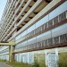 Elefest is on the Heygate Estate this weekend / photo by Eleanor McDowall via Flickr