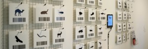Andy Deck, Crow_Sourcing. Image courtesy of the Furtherfield Gallery.
