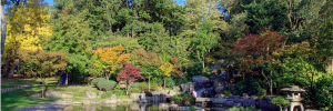 Kyoto Garden, Holland Park by Yorkshire Stacked