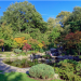 Kyoto Garden, Holland Park by Yorkshire Stacked