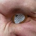 A clue, in an eye.
