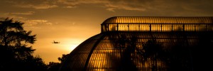 Kew Gardens, by worldoflard