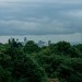clouds-skyline-trees