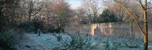 frosty_301112