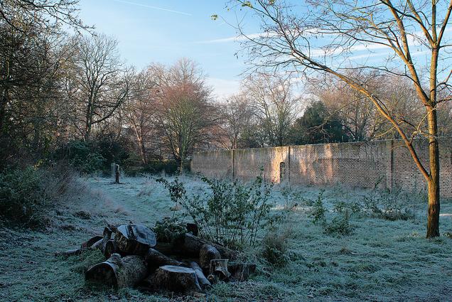 frosty_301112