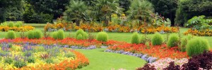 Gorgeous floral displays in Victoria Park