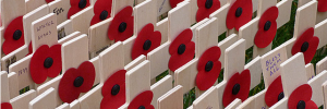 This week ends with Remembrance Sunday / photo by londonbackpacker