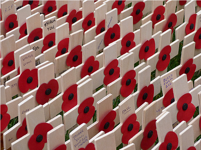 poppies