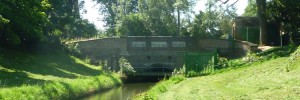 Looking towards the tunnel, Summer 2012