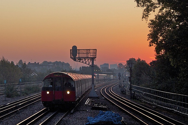 turnham-green-dawn
