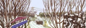 Tottenham Marshes in winter