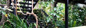 Barbican Conservatory