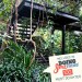 Barbican Conservatory