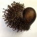 Wayne Chisnall, Mutant Nail Heart