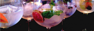 Look at these beautiful gin and tonics!
