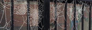frostywebs_121212