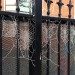 frostywebs_121212