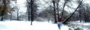 lost in the snow