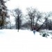lost in the snow