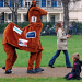pantohorse