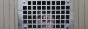 'Free Pussy (Riot)' by Dan Witz.