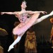Sleeping Beauty January 2013