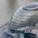 cityhall_310113