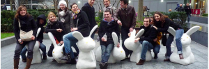 rabbits