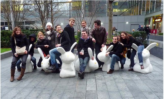 rabbits