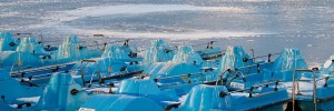 regents_park_lake_ice