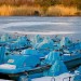 regents_park_lake_ice