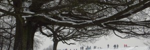 Sledging on the Heath by Laura Nolte