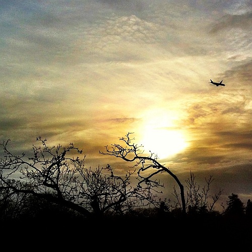 sunset-kew
