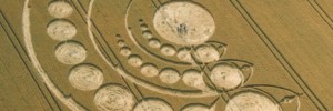 © Lucy Pringle. Crop-circle attributed to aliens activity in Cheesefoot, Hampshire
