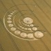 © Lucy Pringle. Crop-circle attributed to aliens activity in Cheesefoot, Hampshire