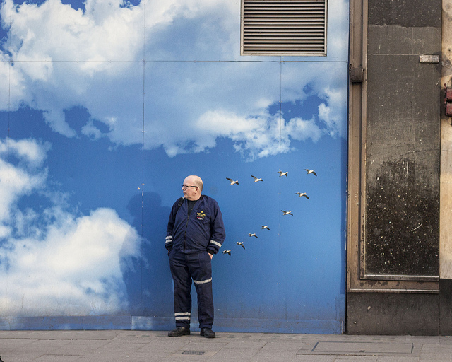 birdswall_210213