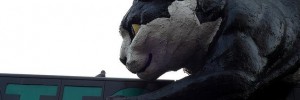 catfordcat_280213