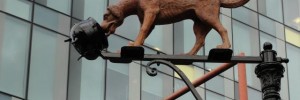 dogandpot1
