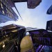 lookingup