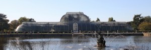 The Palm House, Kew Gardens
