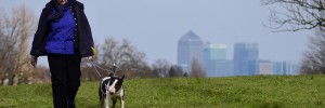 Brockwell Park by John Levick