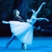 Giselle. Natalia Osipova and Ivan Vasiliev. Photo (c) The Mikhailovsky Theatre (2)