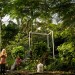 Sunken Garden (c) ENO_Joost Rietdijk-1