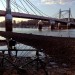 albert bridge