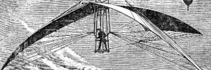 batwing