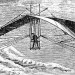batwing batwing