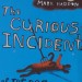 curiousincidentfeat